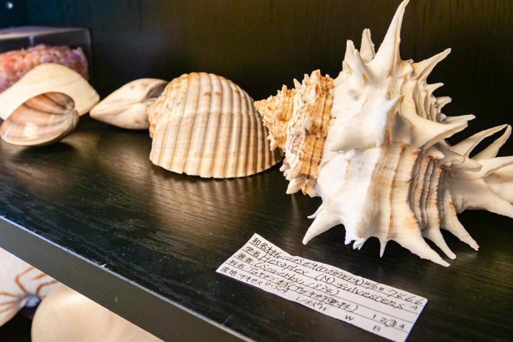 Kodaka Hotel Tokyo Ngoại thất bức ảnh
